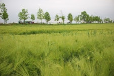 부산테마여행사