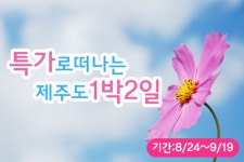 부산여행사 부산테마여행사