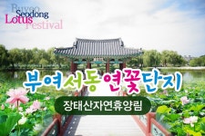 부산테마여행사