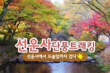 부산테마여행사
