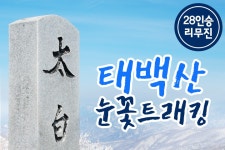 부산테마여행사