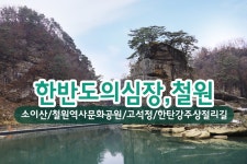 부산테마여행사
