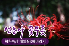 부산테마여행사