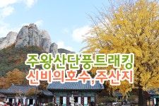 부산테마여행사