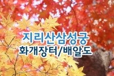 부산테마여행사