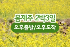 부산테마여행사