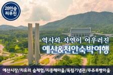 부산테마여행사