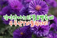 부산테마여행사