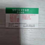 트리디비 - 에메랄드그린 문그로우 블루아이스 스카이로켓 수사해당화 주목 기름밤나무 묘목판매