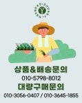트리디비 - 고품질의 다양한 장미묘목 대량구매환영(경산묘목대표 해찬농원) 010-3056-0407