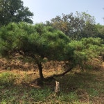 매물보기