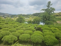 반송 H2.0 H2.5 판매합니다. : 트리디비 반송 H2.0  H2.5 판매합니다. : 트리디비