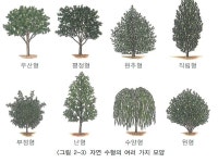 조경수목의 수형 : 트리디비