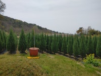 블루엔젤 1.2~3.0m 전규격 판매 : 트리디비