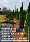 2026년 하늘빛농원 재배수목리스트 (많은 관심 부탁드립니다) : 트리디비
