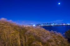 한강시민공원 > 갤러리 > 트리인포