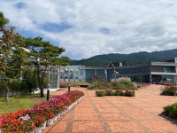 정원/공원/식물원 1 페이지 > 트리인포