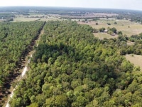 75976 Homes For Sale & 75976 Real Estate | Trulia