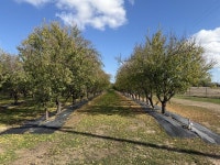 Farmington, CA Homes For Sale & Real Estate - 65 Homes | Trulia