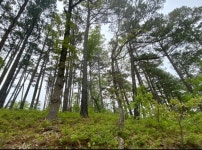 Rogers, AR Lot/Land For Sale - 144 Listings | Trulia