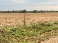 Newellton, LA Homes For Sale & Real Estate - 60 Homes | Trulia