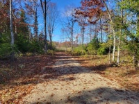 Remus, MI Lot/Land For Sale - 5 Listings | Trulia