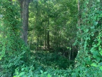 Baskin, LA Lot/Land For Sale - Listings | Trulia