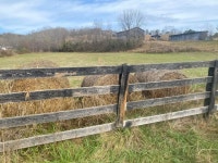 Mize, Ezel, KY Homes For Sale & Mize, Ezel, KY Real Estate | Trulia