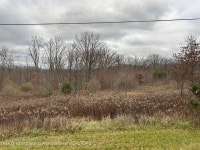 Olivet, MI Homes For Sale & Real Estate - 47 Homes | Trulia