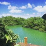 Townhomes For Rent in 33181 - 7 Townhouses | Trulia