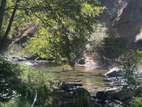 Whitmore, CA Homes For Sale & Real Estate - 40 Homes | Trulia