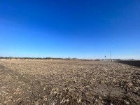 Odell, IL Lot/Land For Sale - Listings | Trulia
