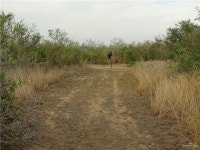 78353 Homes For Sale & 78353 Real Estate - 46 Homes | Trulia