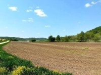 Bear Valley, WI Homes For Sale & Bear Valley, WI Real Estate | Trulia