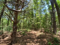 Pittsburg, TX For Sale by Owner - 3 Listings | Trulia