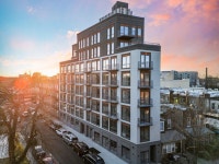 1 Bedroom Apartments For Rent in 11230, - 68 Apartments | Trulia