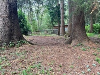 Knappa, Astoria, OR Homes For Sale & Knappa, Astoria, OR Real Estate - 681 Homes | Trulia