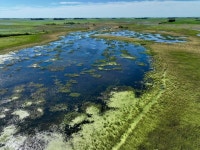 Martin County, MN Lot/Land For Sale - 17 Listings | Trulia