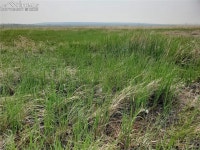 Parcel 2 McClelland Rd, Calhan, CO 80808 - See Est. Value, Schools & More
