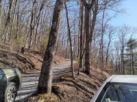 Scaly Mountain, NC Homes For Sale & Real Estate - 105 Homes | Trulia