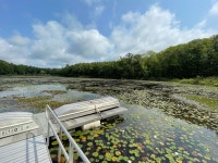 6142 Sunshine Dr, Irons, MI 49644 | MLS# 24039629 | Trulia