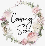 1239 E Dartmouth St, Mesa, AZ 85203 | Trulia 1239 E  Dartmouth St, Mesa, AZ 85203 | Trulia