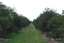 NE Highway 70 #3-19-08, Arcadia, FL 34266 - See Est. Value, Schools & More