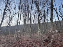 Yard St, Nesquehoning, PA 18240 | MLS# 25-484 | Trulia