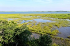 6972 Bears Bluff Rd, Wadmalaw Island, SC 29487 - See Est. Value, Schools & More