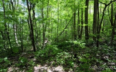 Riva Ridge Rd #13-B, Columbus, NC 28722 - See Est. Value, Schools & More