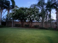 6229 Pinetree Ave #6229, Panama City, FL 32408 | Trulia 6229 Pinetree Ave  #6229, Panama City, FL 32408 | Trulia