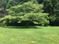 4956 Red Oak Dr, Morristown, TN 37814 | MLS# 700433 | Trulia