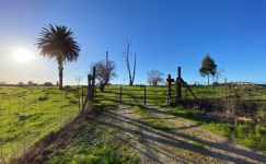 6829 W 4th St, Rio Linda, CA 95673 | MLS# 225030556 | Trulia 6829 W  4th St, Rio Linda, CA 95673 | MLS# 225030556 | Trulia