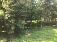 Dingman, PA Recently Sold Properties | Trulia